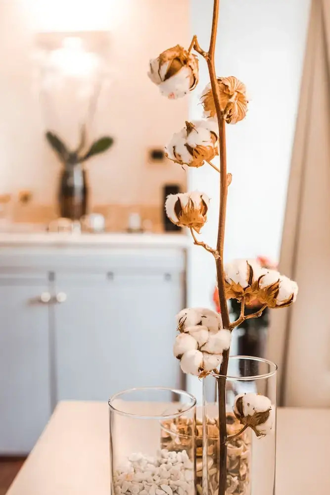 Photo - Teichnersuite