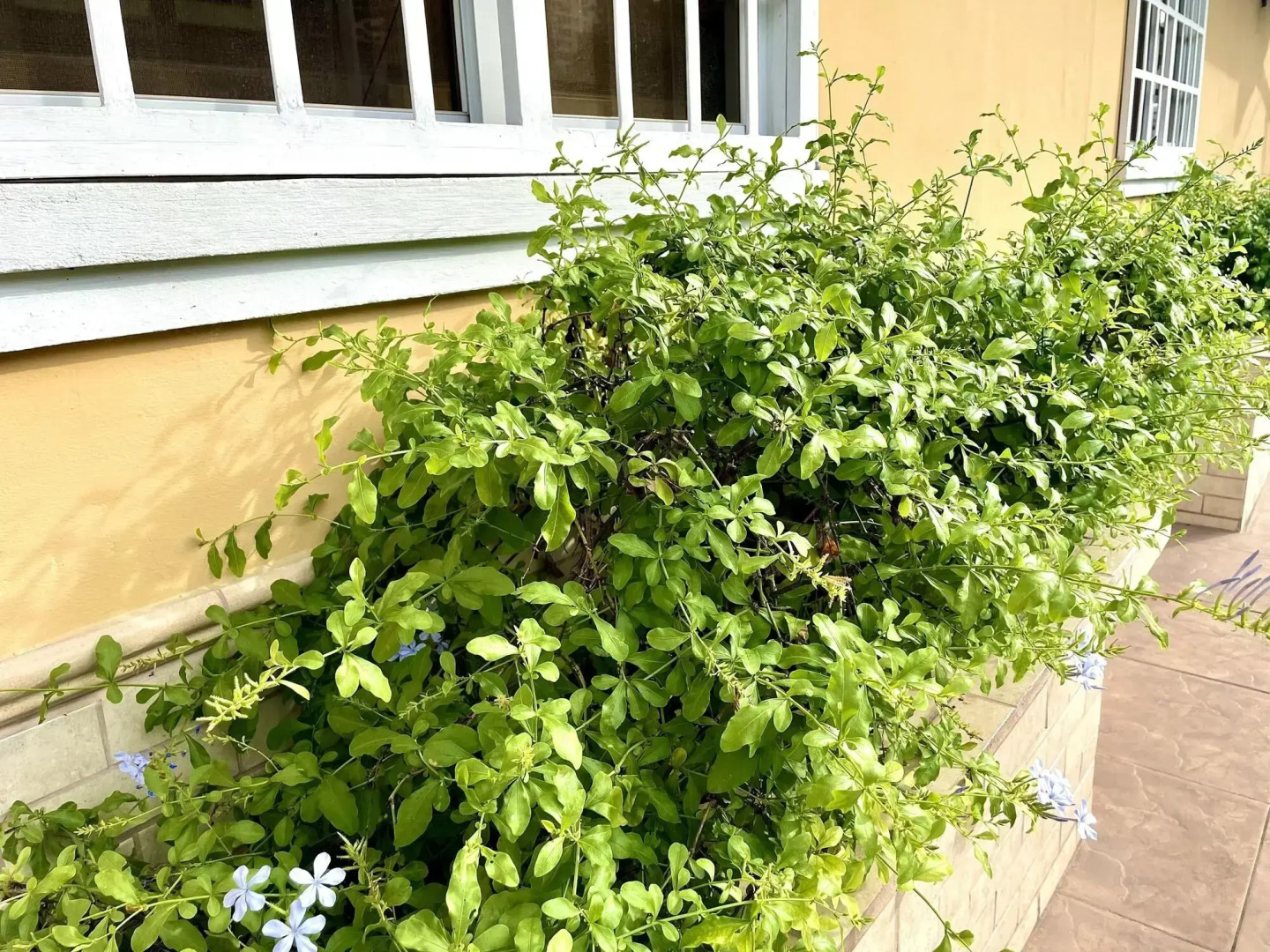 Foto - Sofia's B&B Hostal Boutique