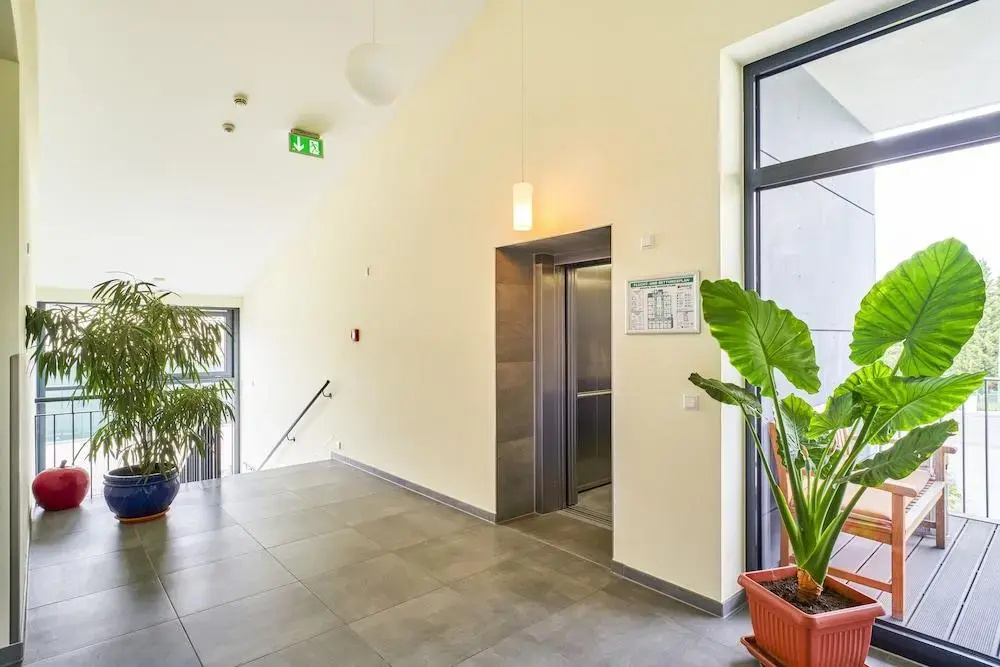 Foto - Hotel Apfelbaum