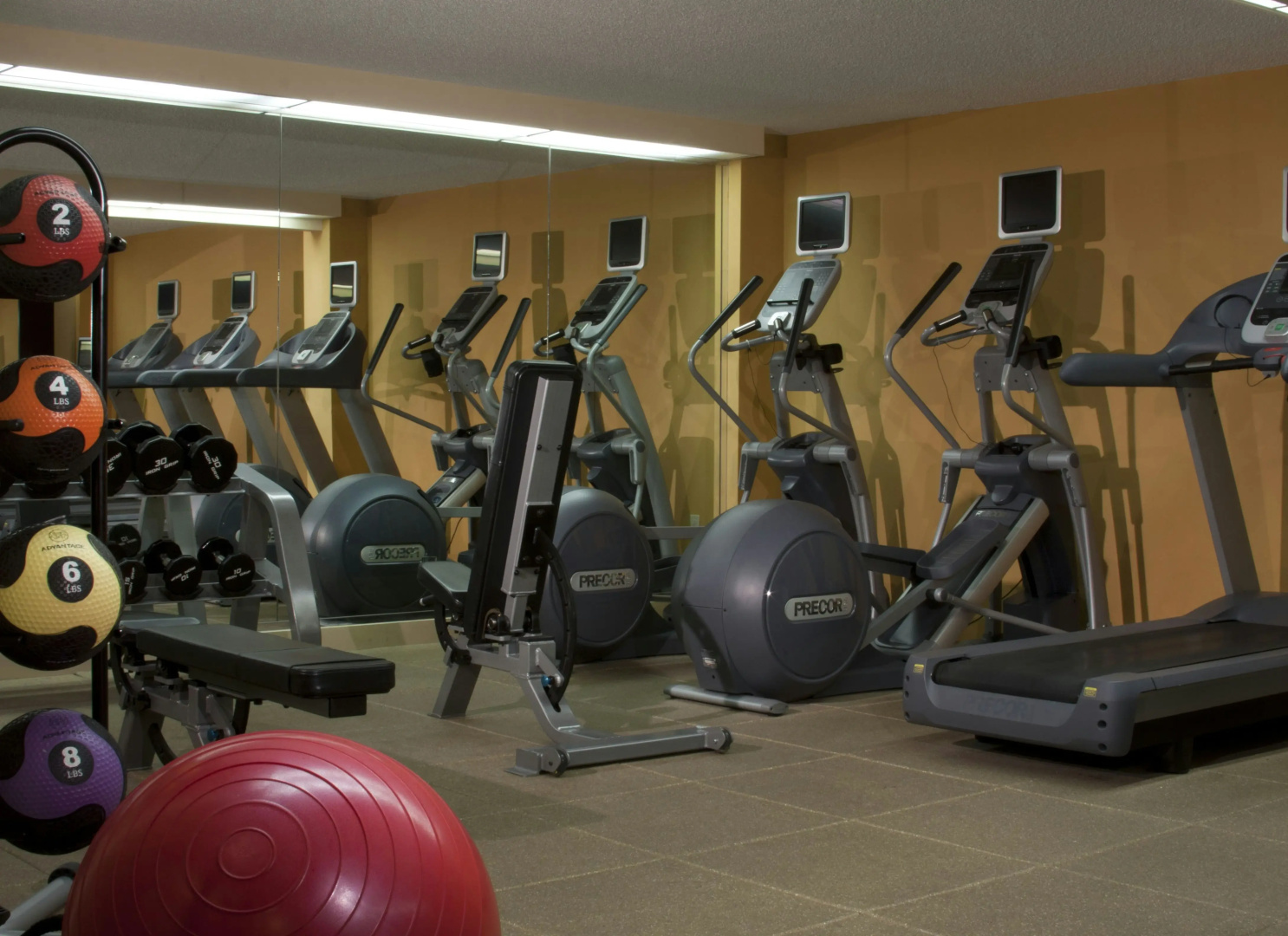 Foto - Hilton Tampa Airport Westshore