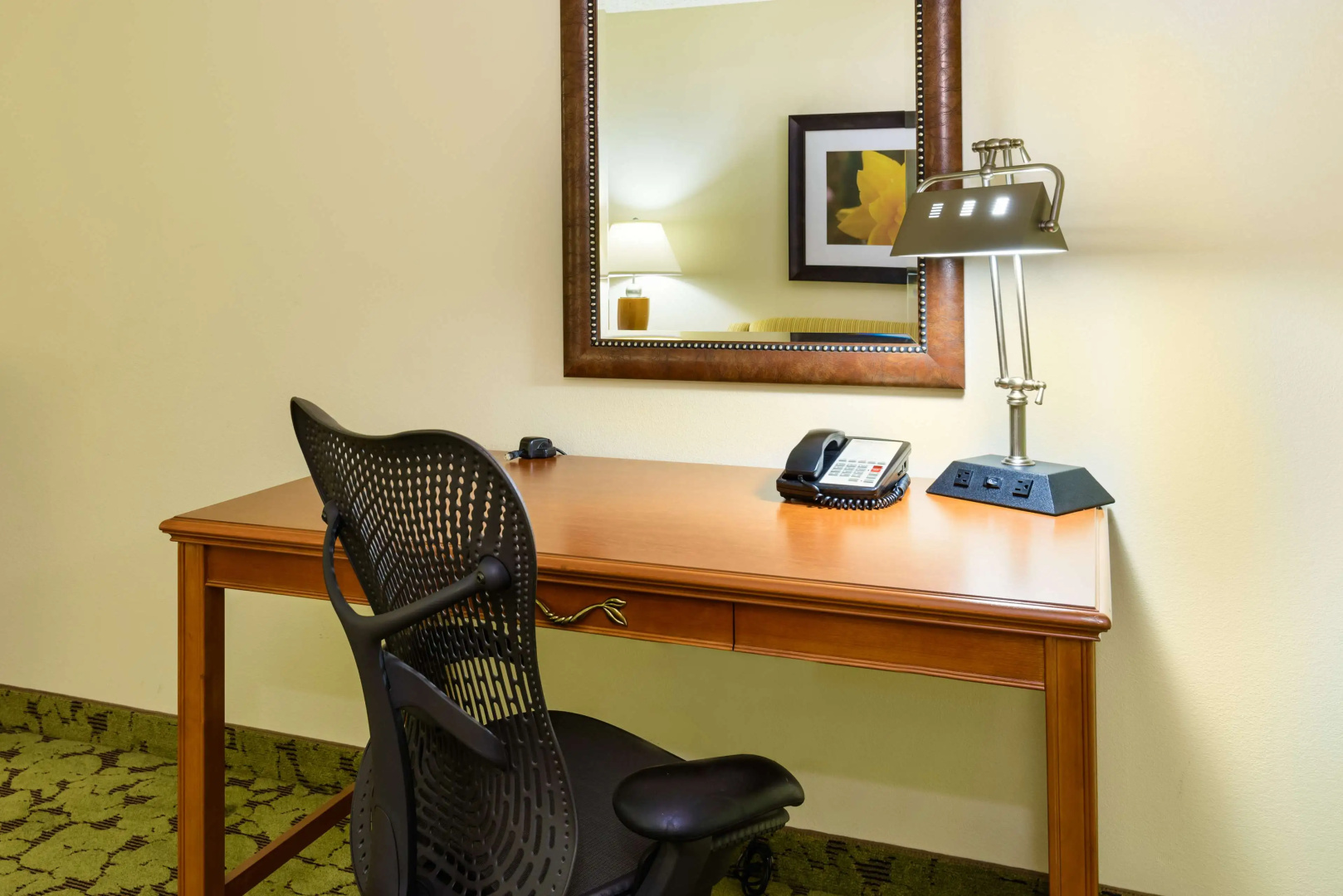 Foto - Hilton Garden Inn Gainesville