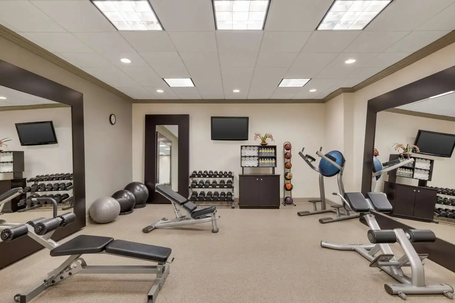 Photo - DoubleTree by Hilton New Orleans Airport