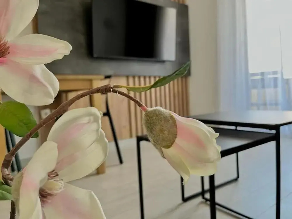 Photo - Residence Ellena