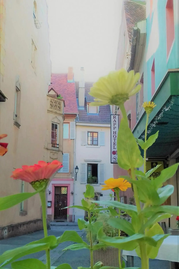 Photo - Hôtel Le Rapp