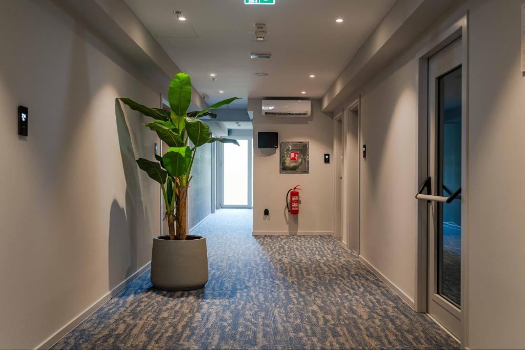 Photo - Hotel A'mare