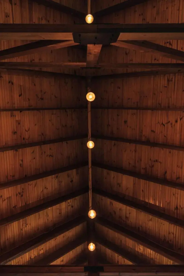 Foto - The Log Collective