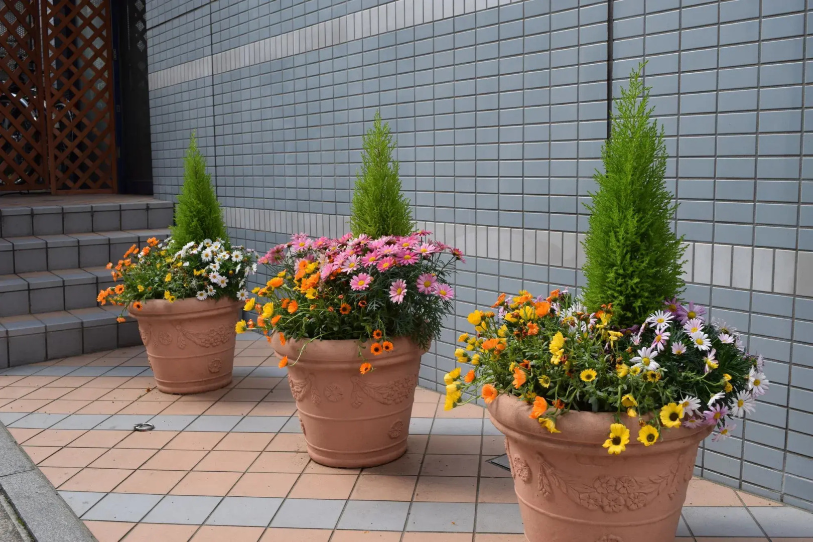 Photo - Asakusa Central Hotel