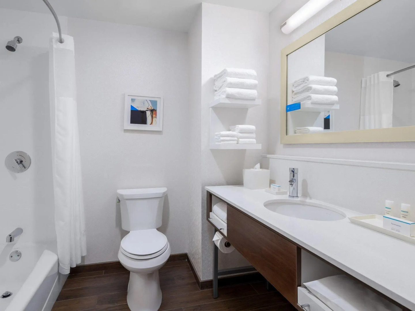 Photo - Hampton Inn Chicago McCormick Place