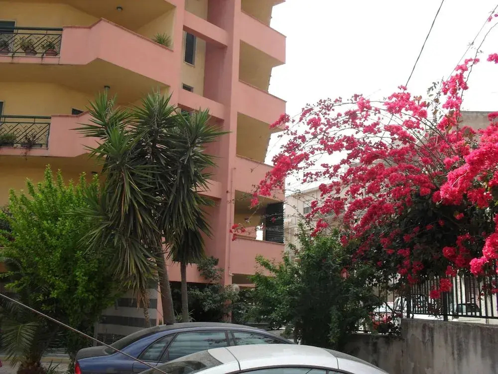 Foto - Agave