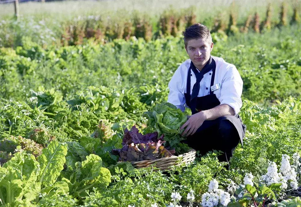 Photo - Mintrops Land Hotel Burgaltendorf