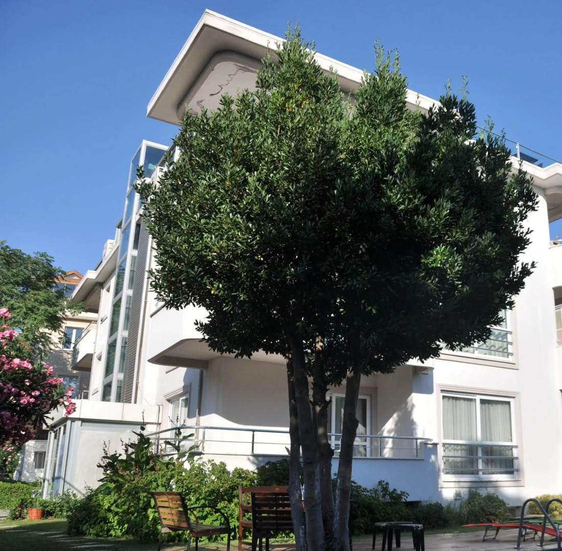 Foto - dragos island hotel