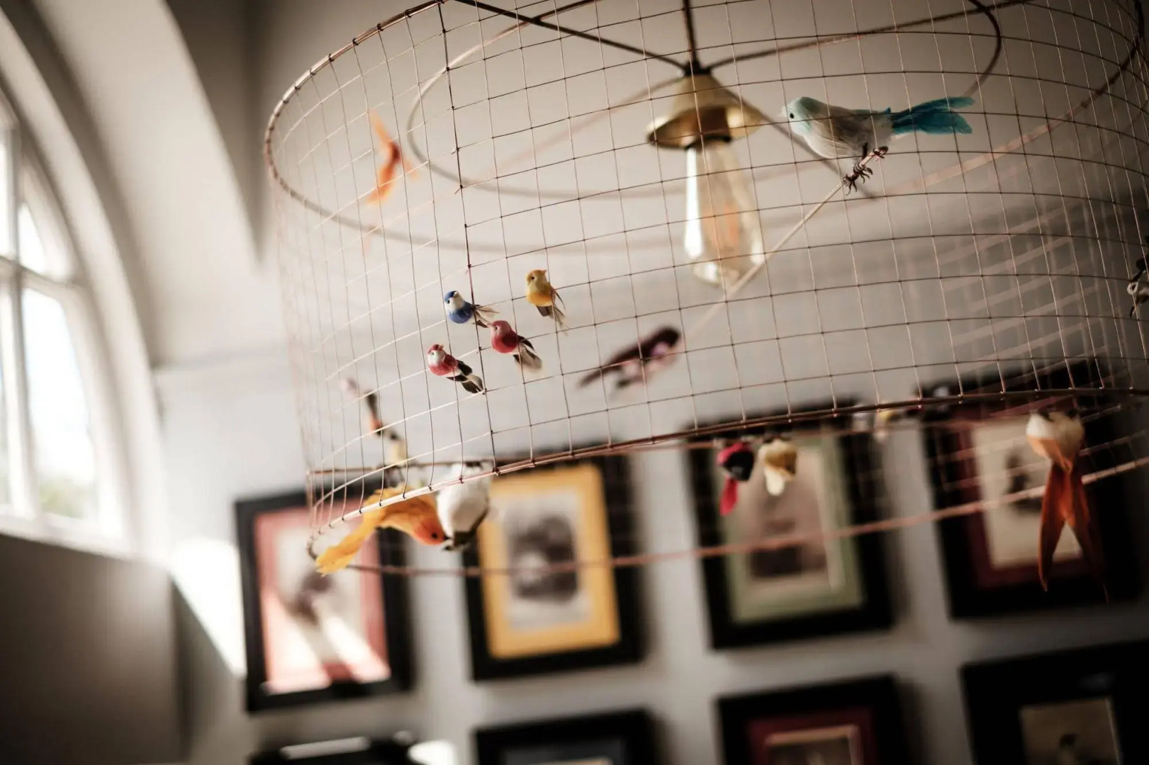 Foto - The Queen's Head