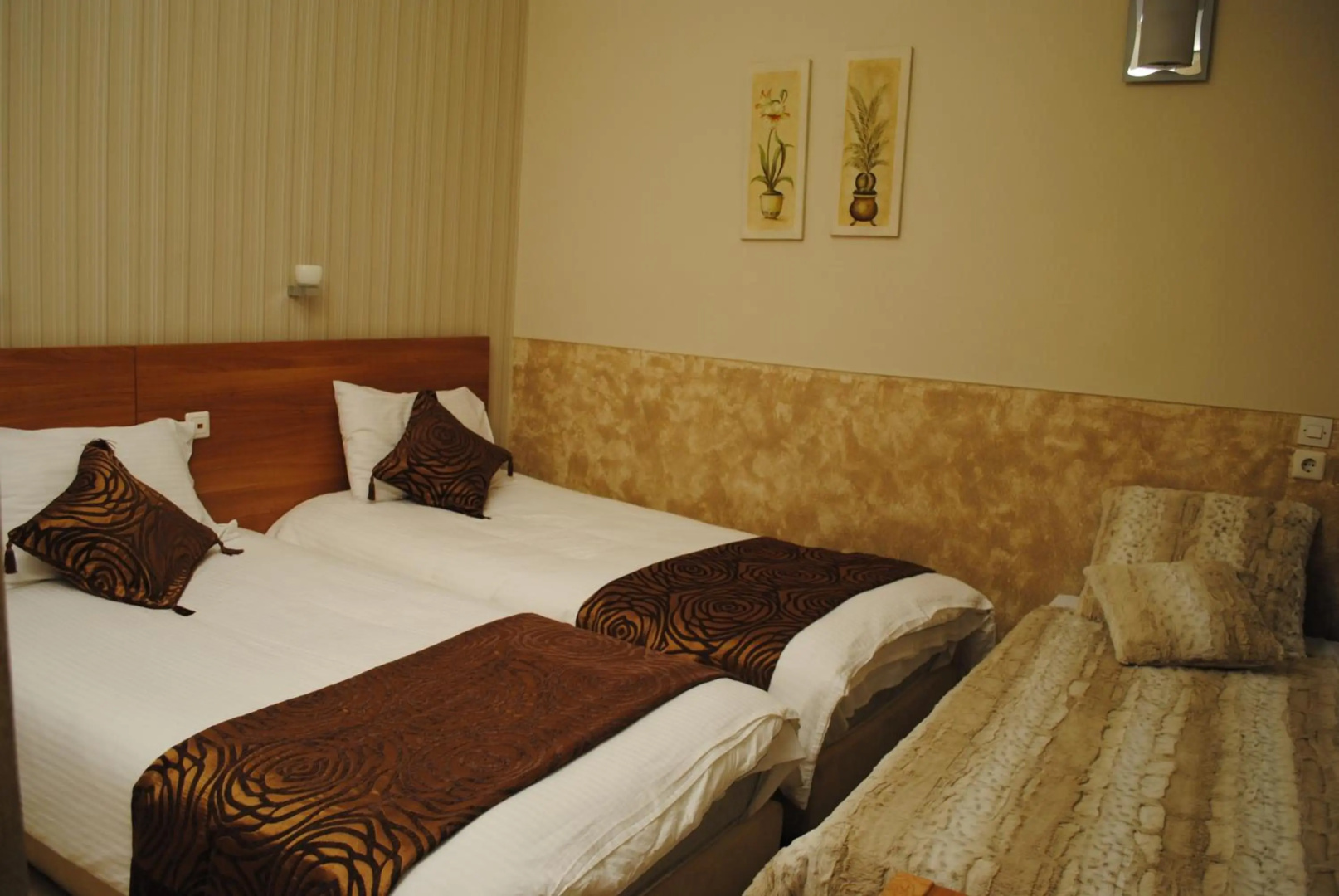 Photo - Hotel Ideal