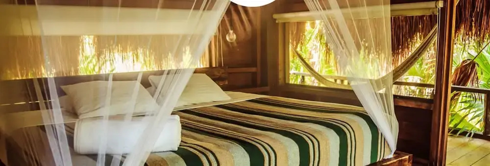 Foto - Vida Silvestre Tulum