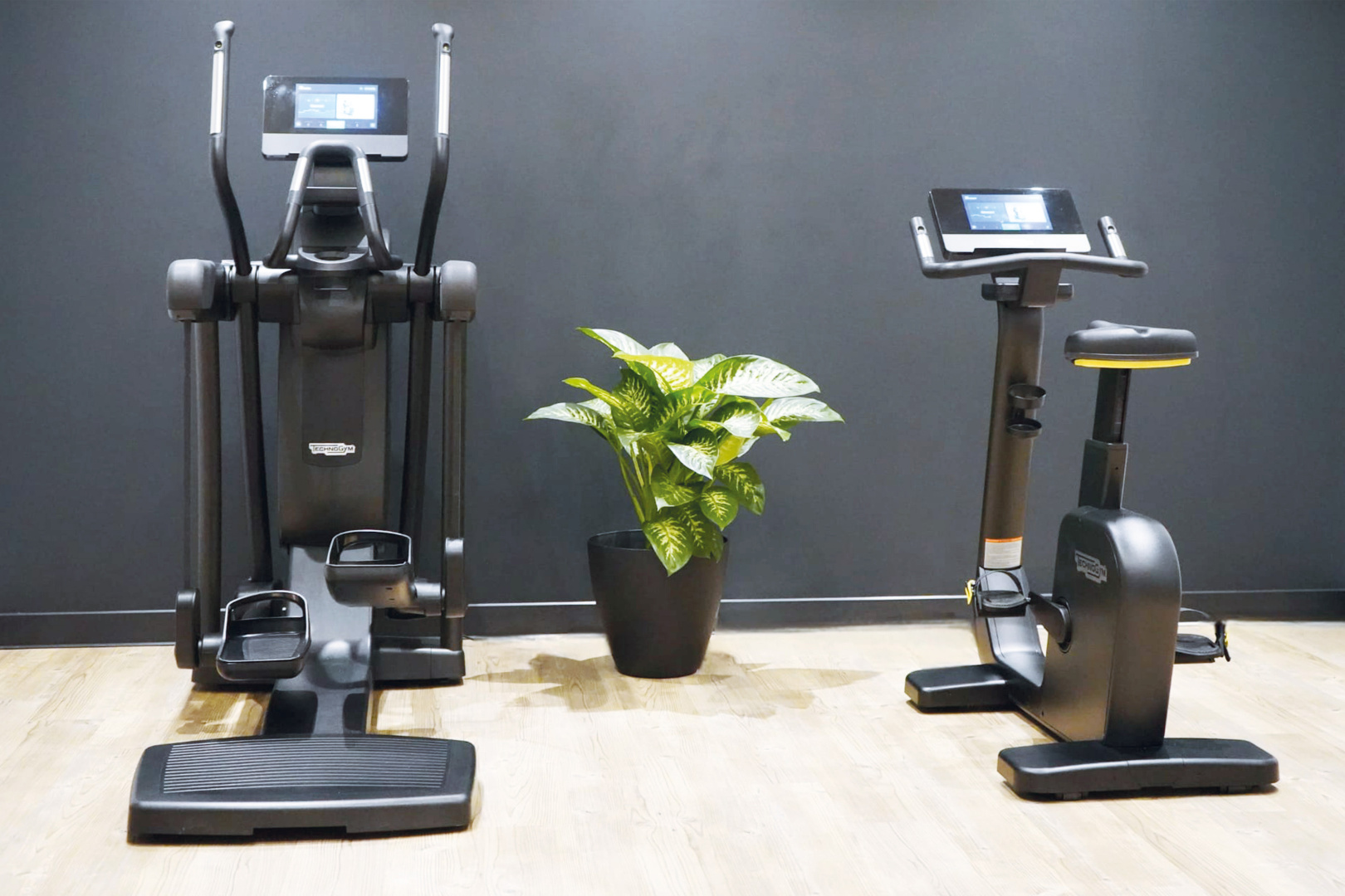 Photo - Holiday Inn - the niu, Amity Potsdam by IHG