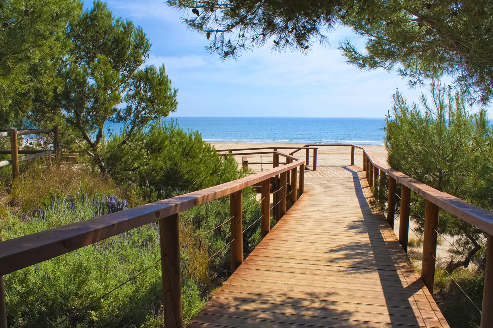 Photo - Hotel Servigroup Romana