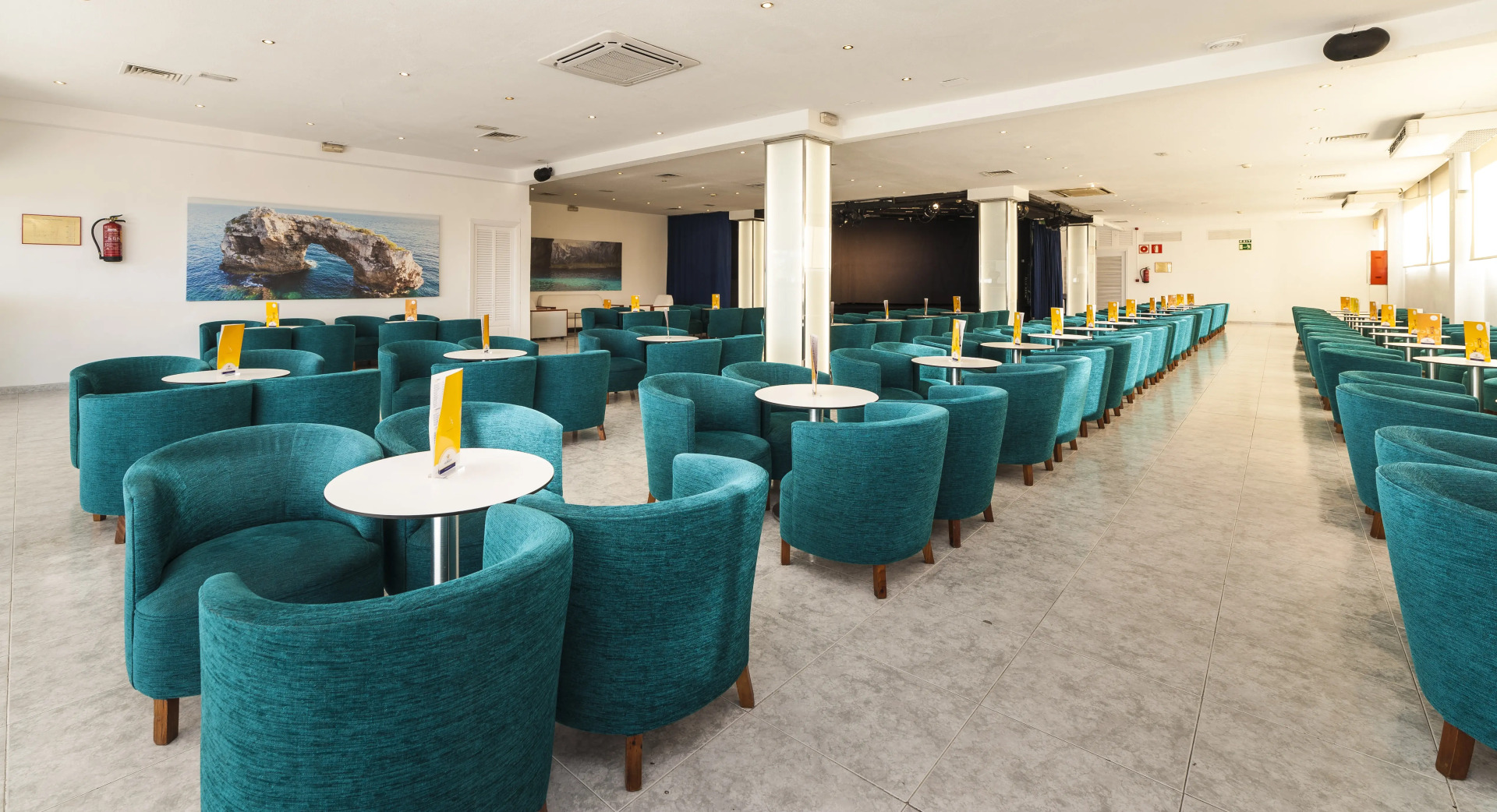 Foto - Globales Mimosa