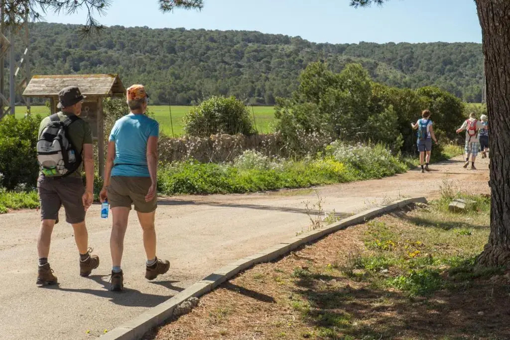 Foto - Paguera Treff Boutique Hotel