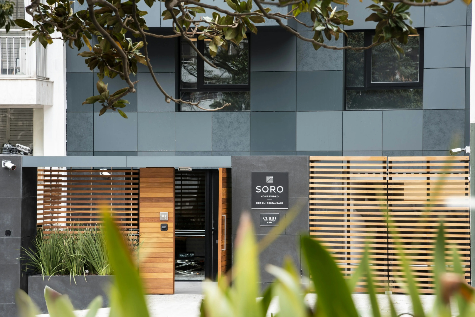 Photo - SORO Montevideo, Curio Collection by Hilton