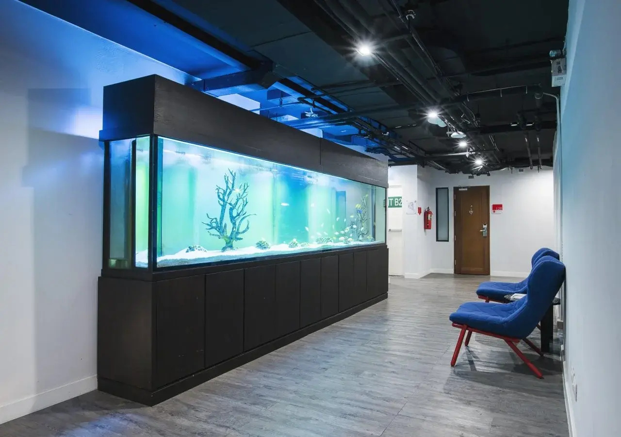 Foto - S Box Sukhumvit Hotel