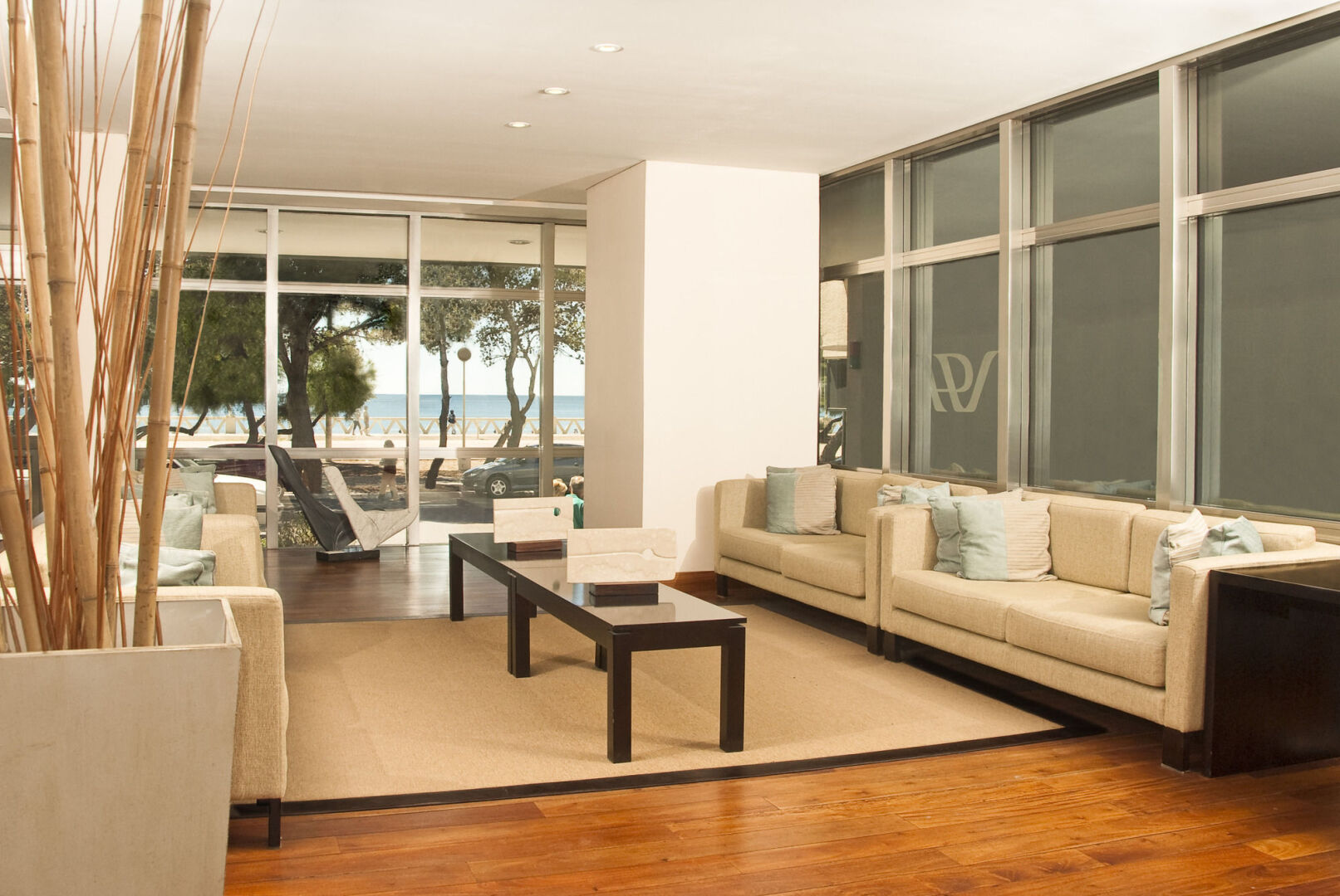 Foto - Peninsula Valdes