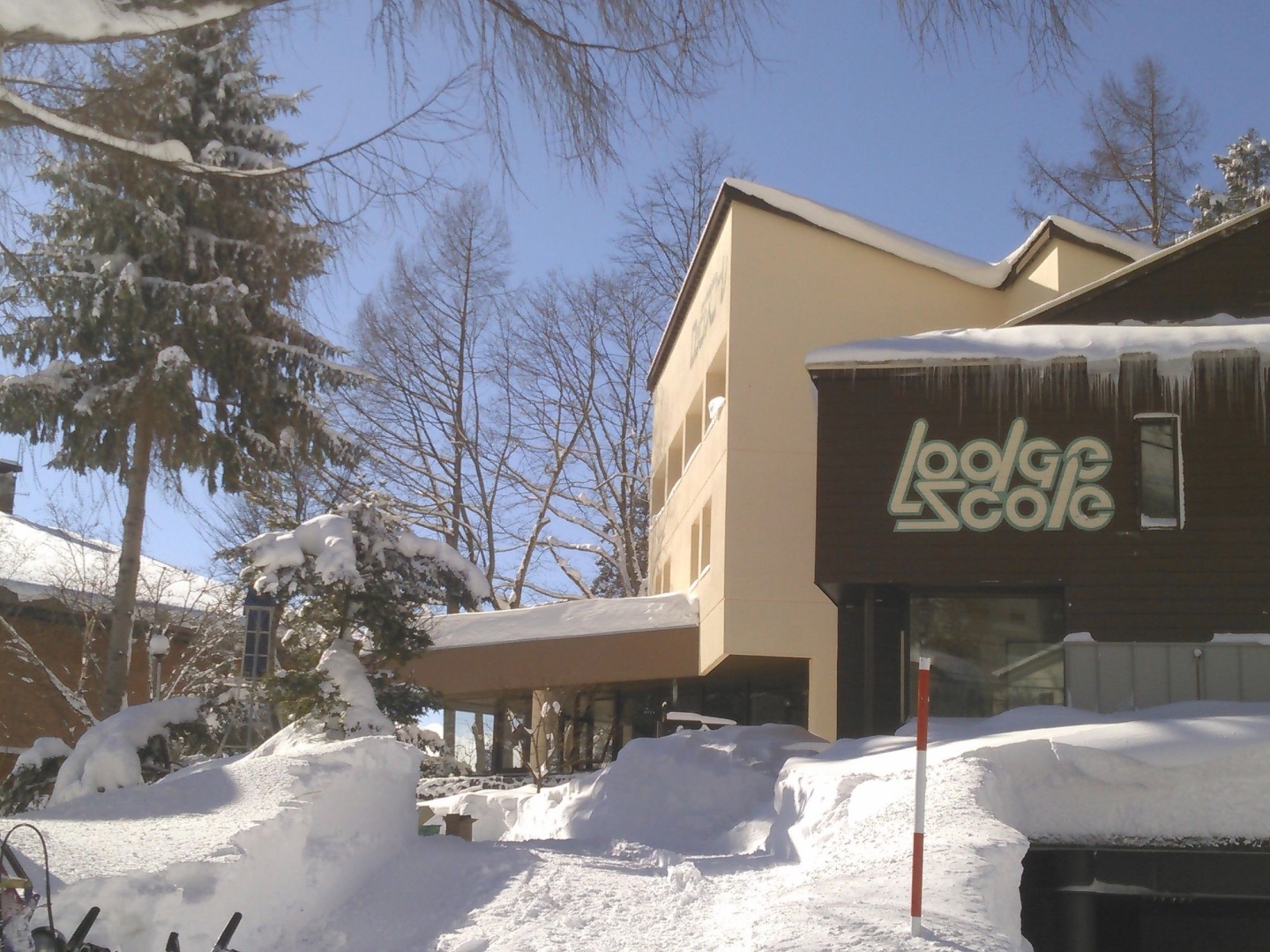 Lodge Scole