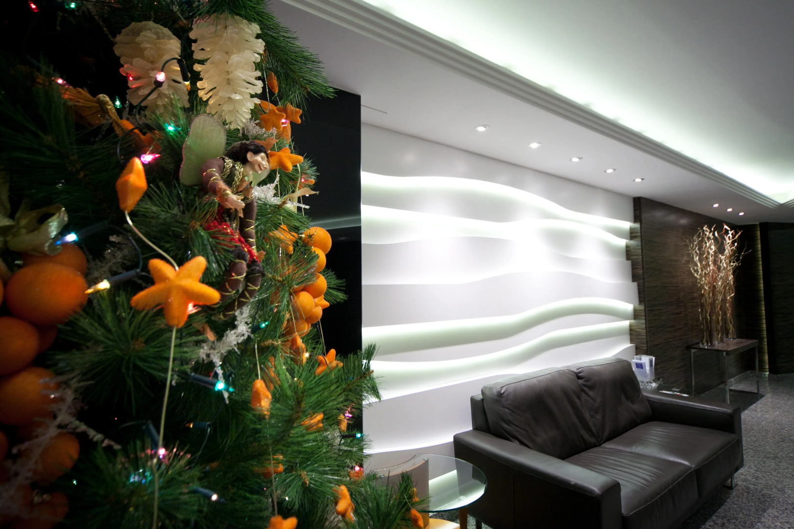 Foto - Nuevo Torreluz