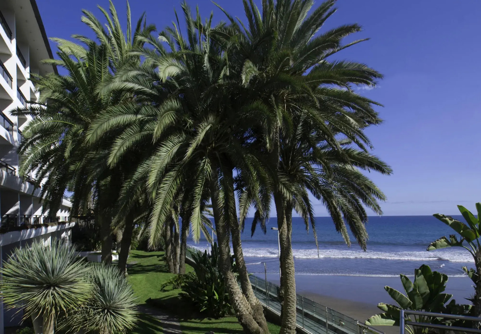 Photo - Don Gregory by Dunas - Adults Only