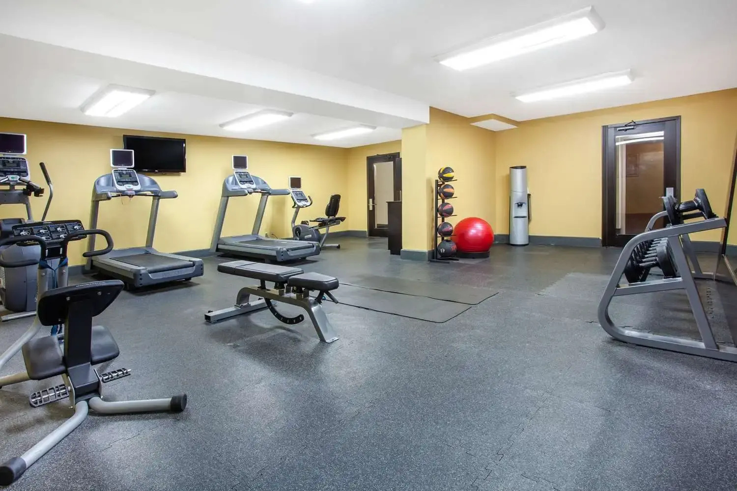 Photo - Orlando Palms