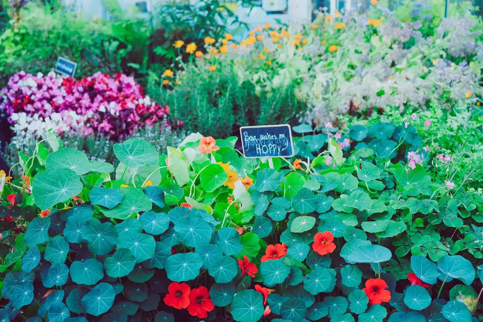 Photo - Hotel Casa Amsterdam