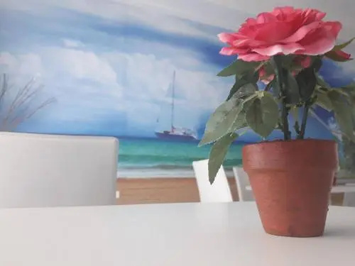 Photo - Tiburtina Hotel Holiday