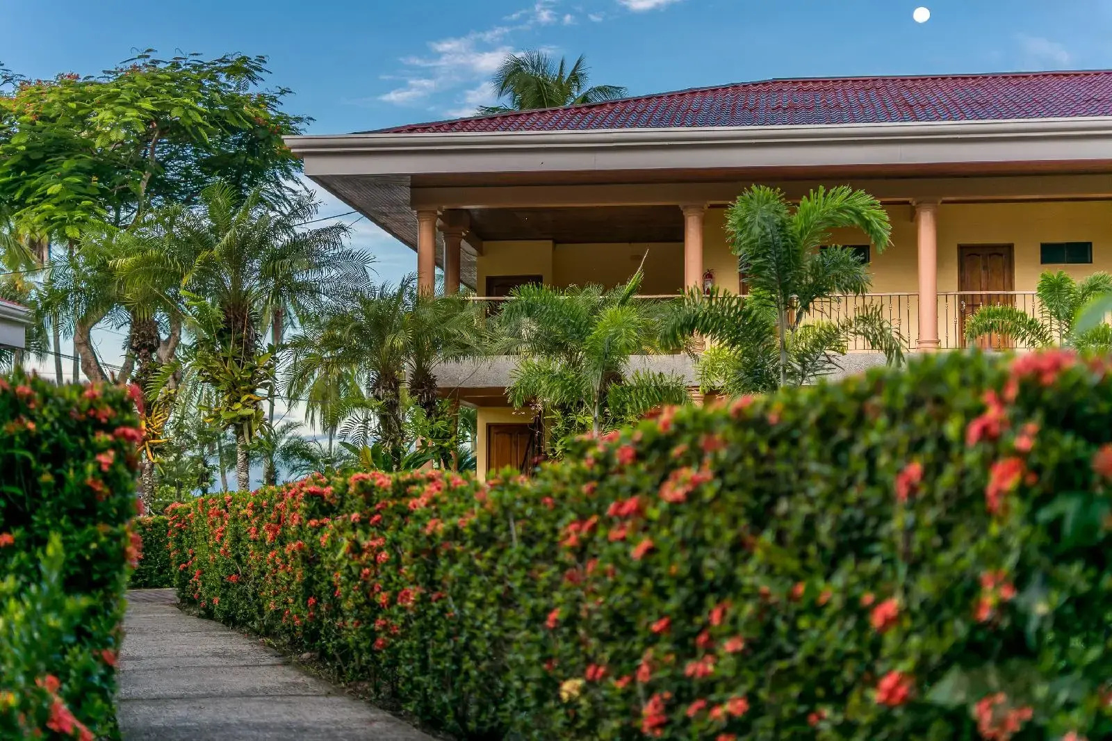 Foto - Hotel Manuel Antonio