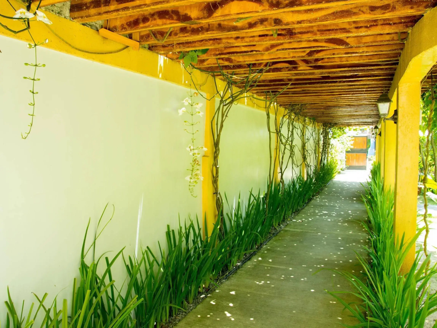 Foto - Greenyard Inn