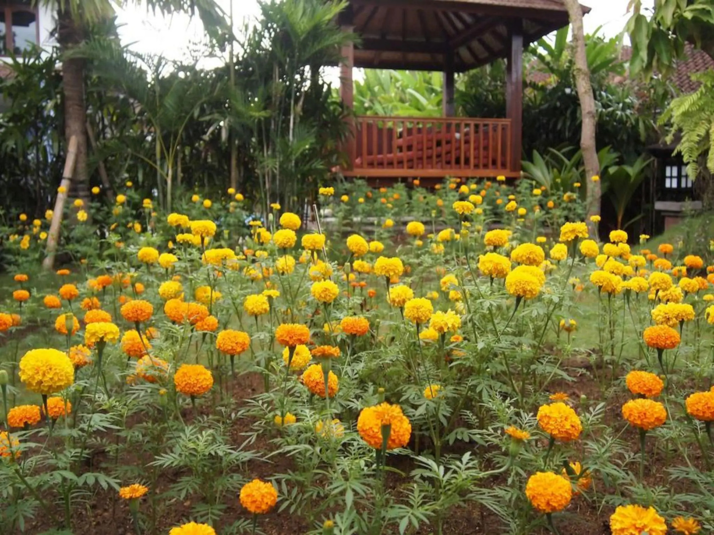 Photo - Yulia Village Inn Ubud