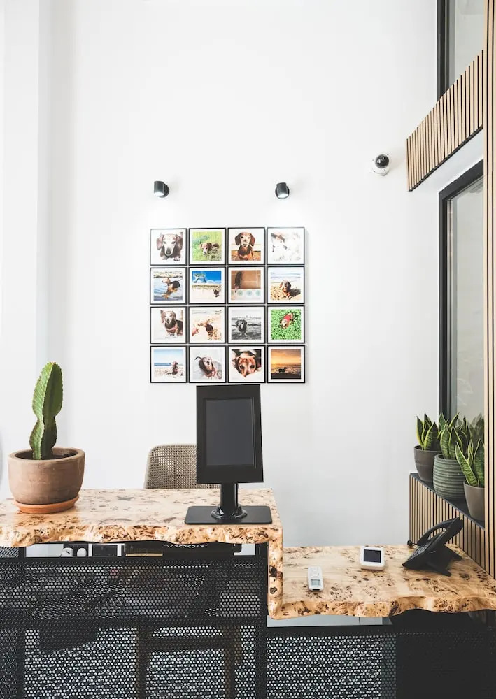 Foto - The Bear and Ween