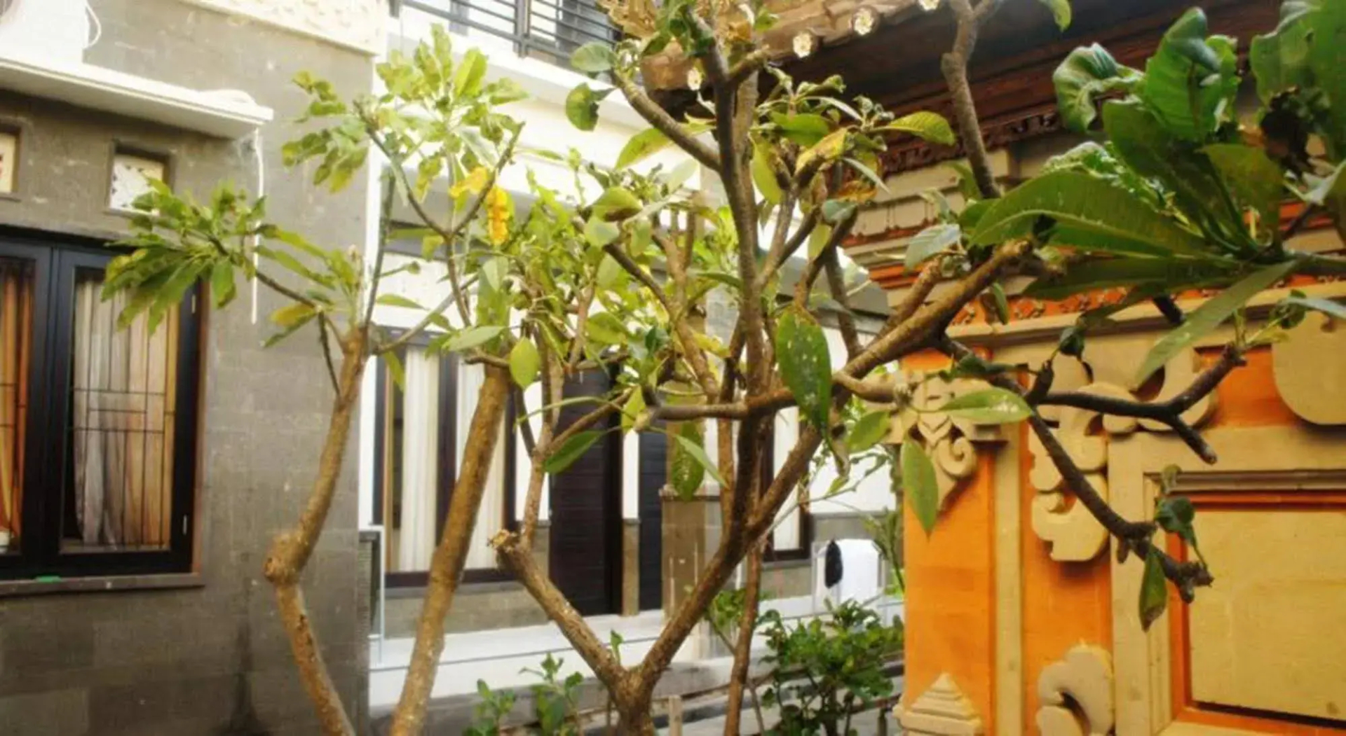 Foto - Wana Kubu Homestay