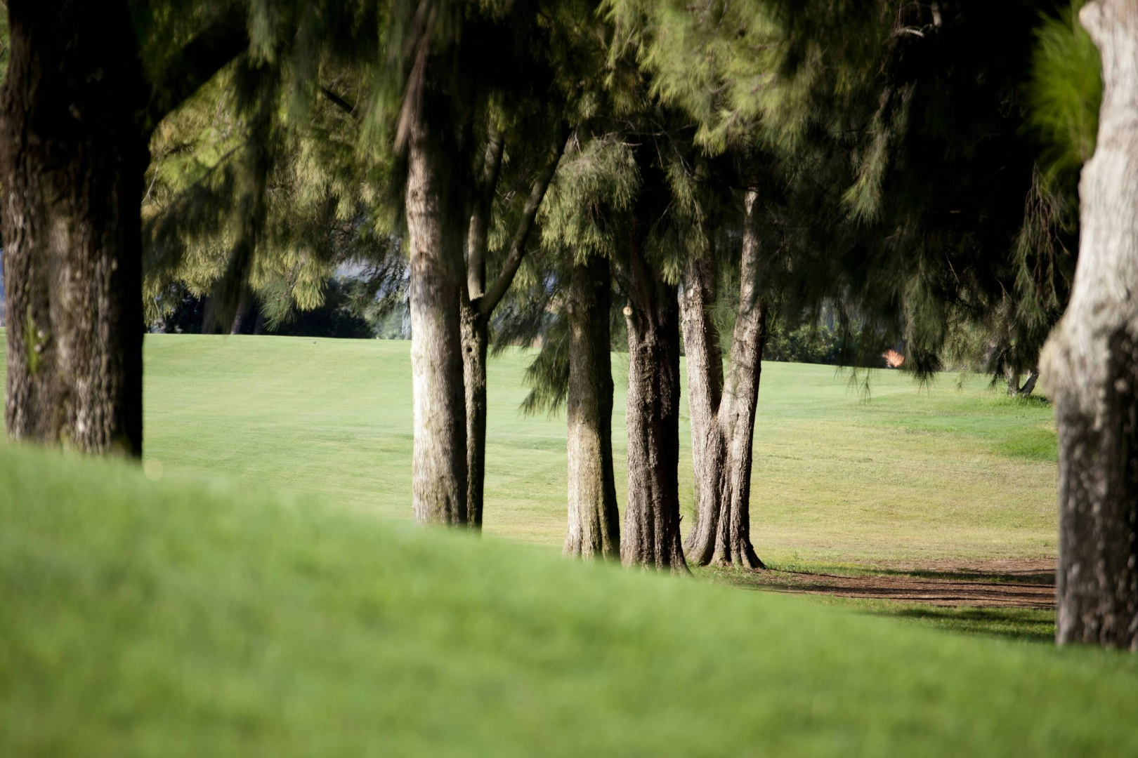 Photo - Denia Marriott La Sella Golf Resort & Spa