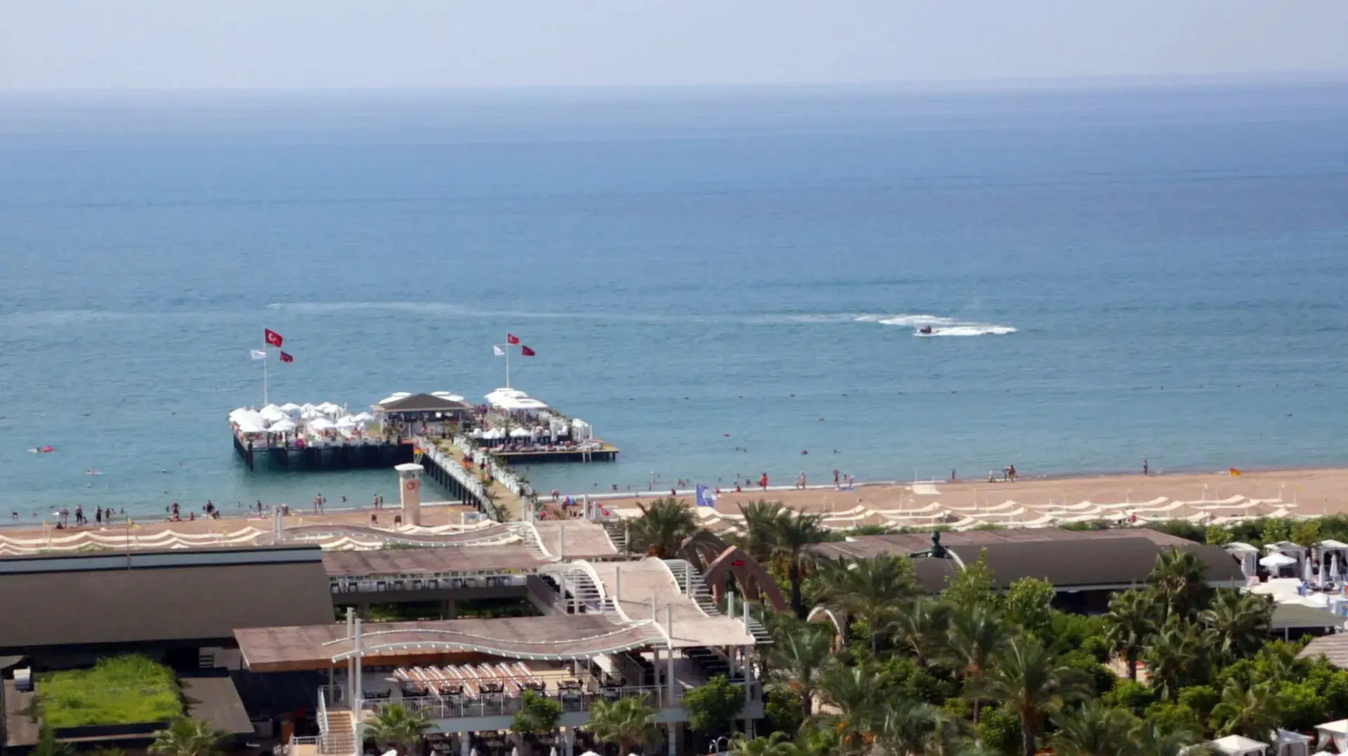 Foto - Delphin Imperial Lara