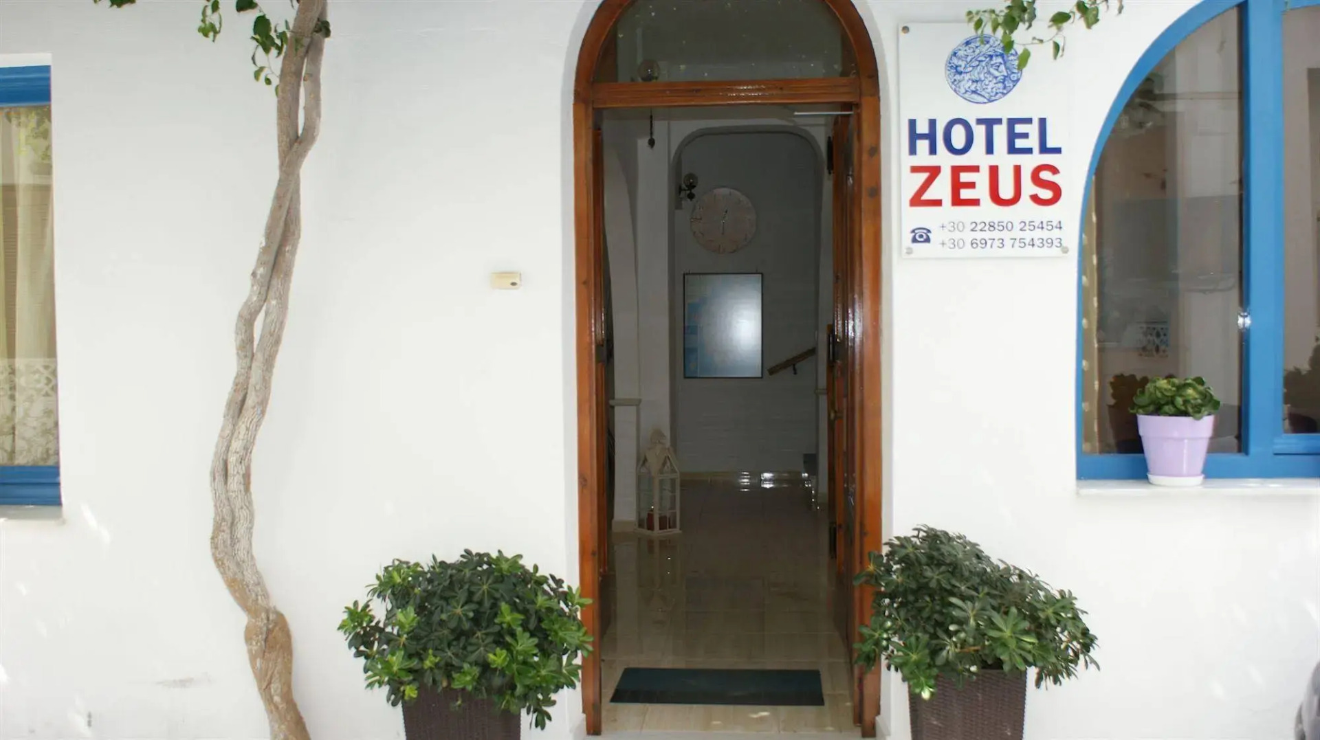 Foto - Hotel Zeus