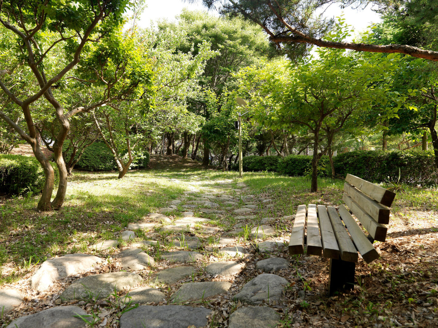 Photo - The K Hotel Gyeongju