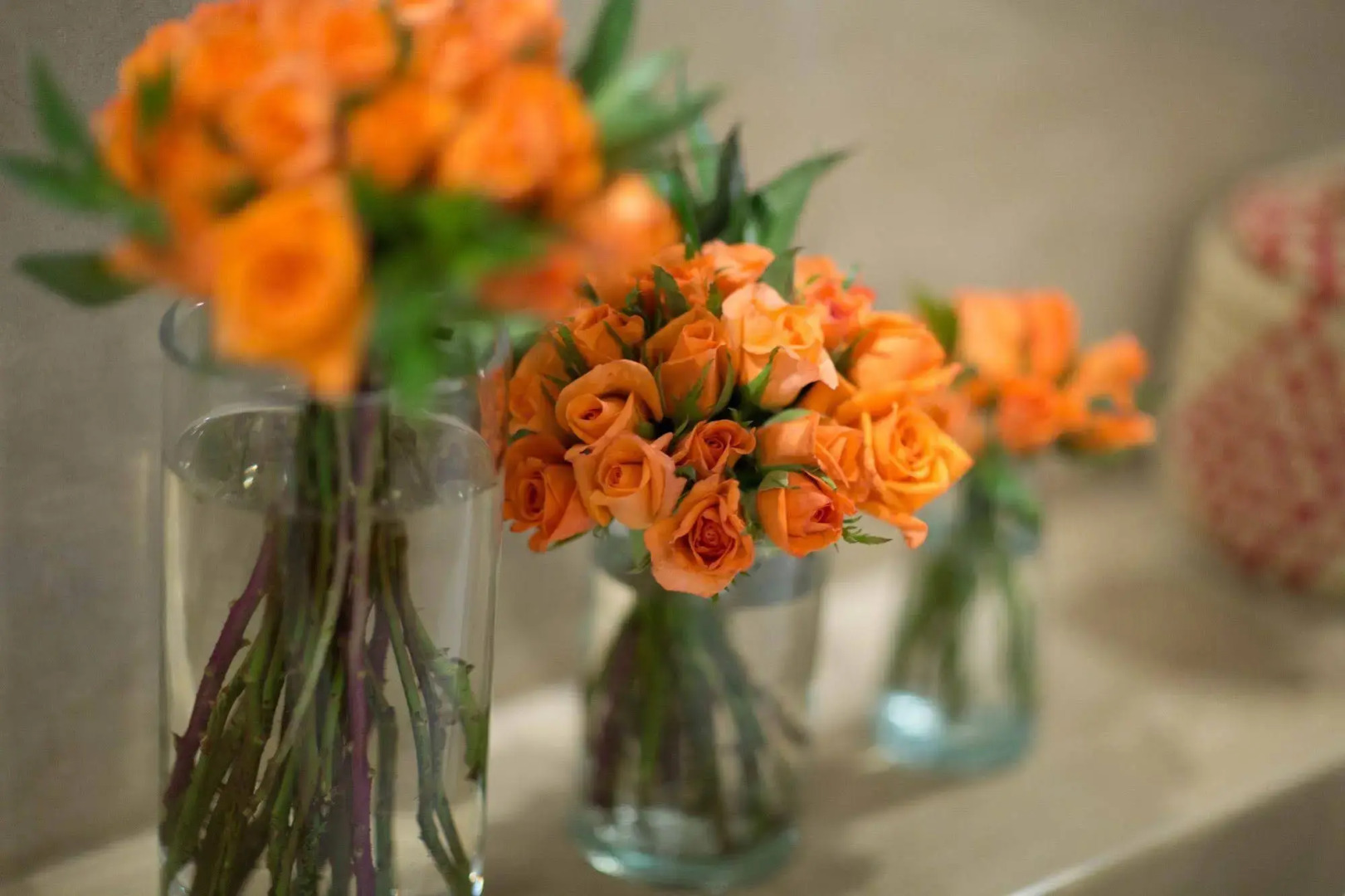 Photo - Riad Dar More