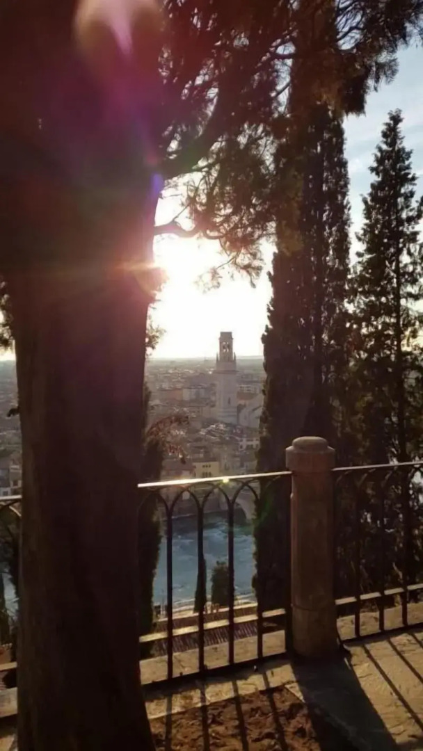 Foto - Santa Teresa House