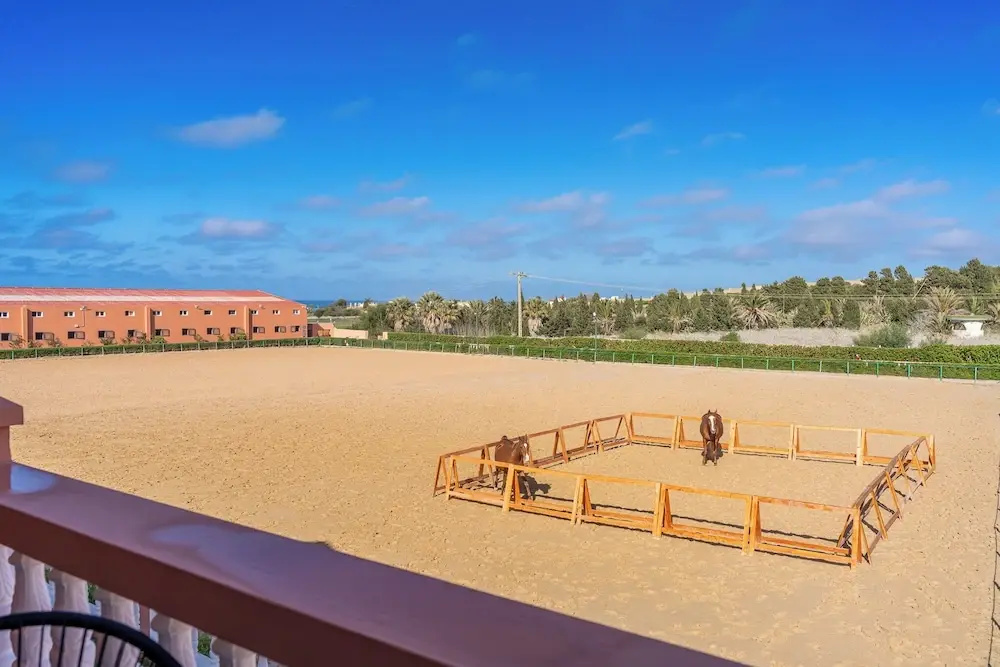 Foto - Royal Club Equestre Detroit Bed and Breakfast