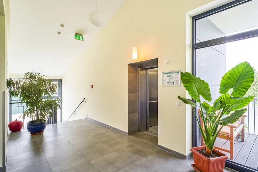 Photo - Hotel Apfelbaum