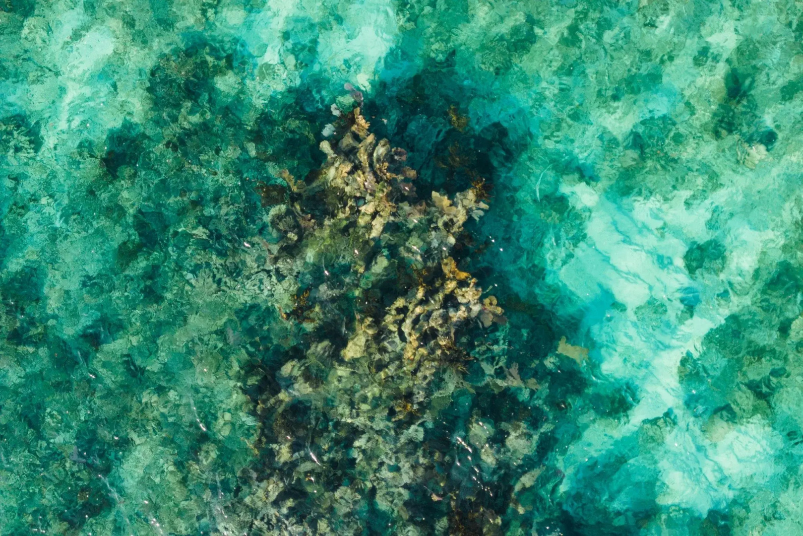 Foto - The St. Regis Kanai Resort, Riviera Maya