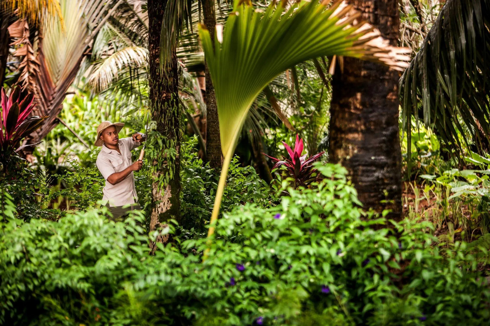 Photo - Anantara Maia Seychelles Villas