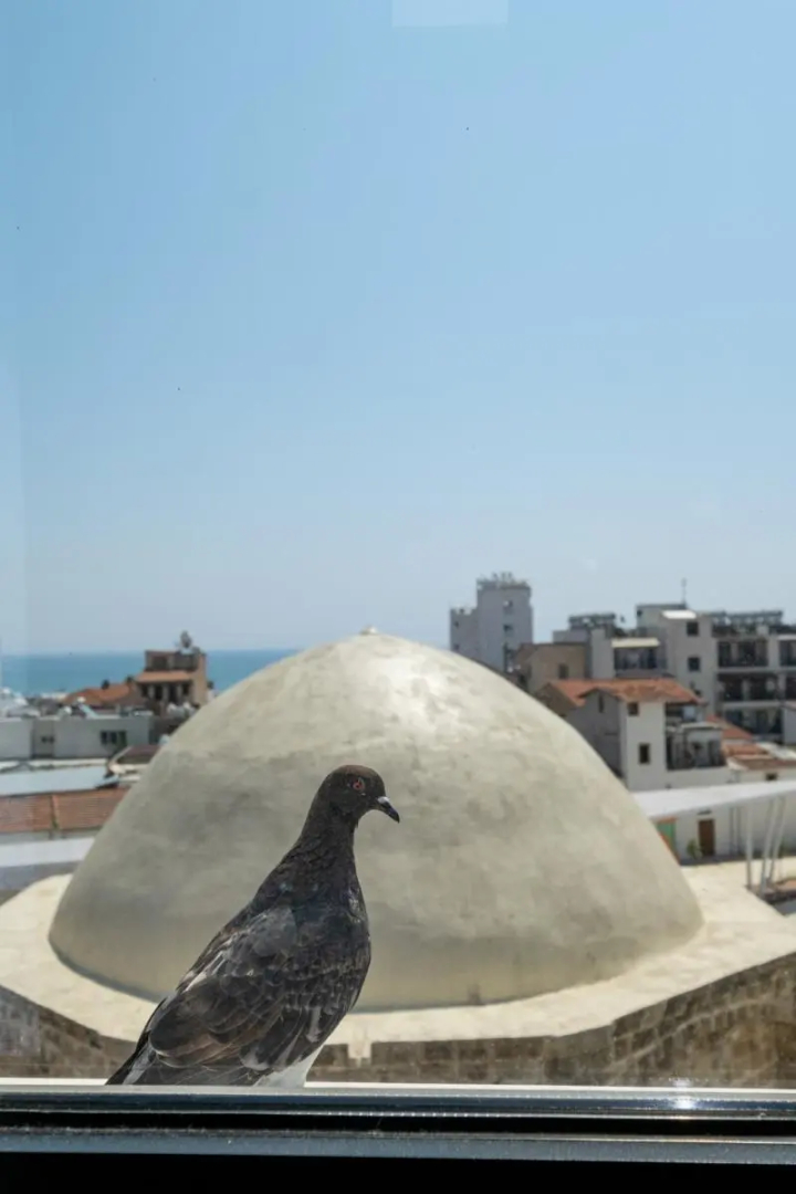 Foto - Livadhiotis City Hotel