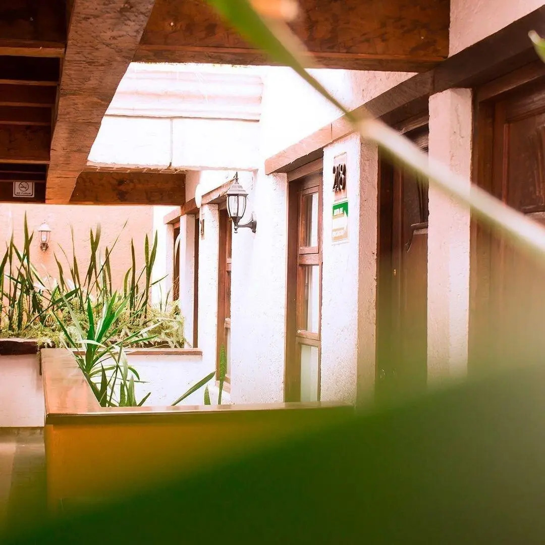 Foto - Plaza Magnolias Suites