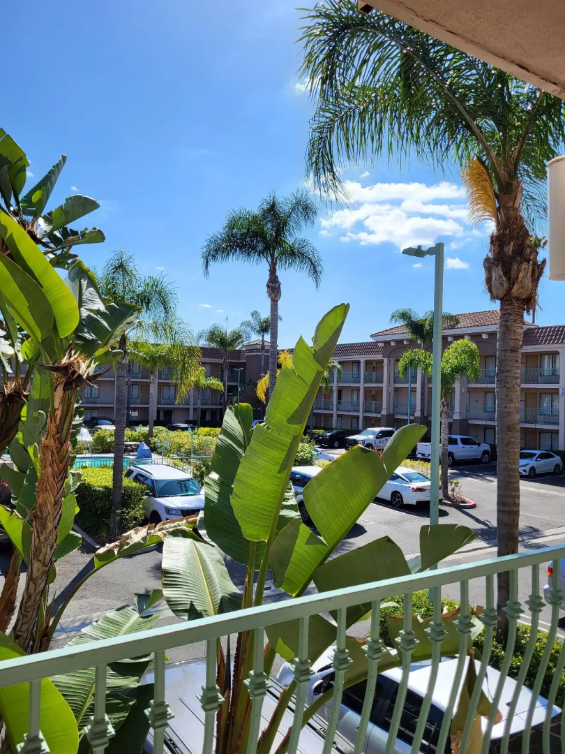 Foto - Cortona Inn and Suites Anaheim Resort