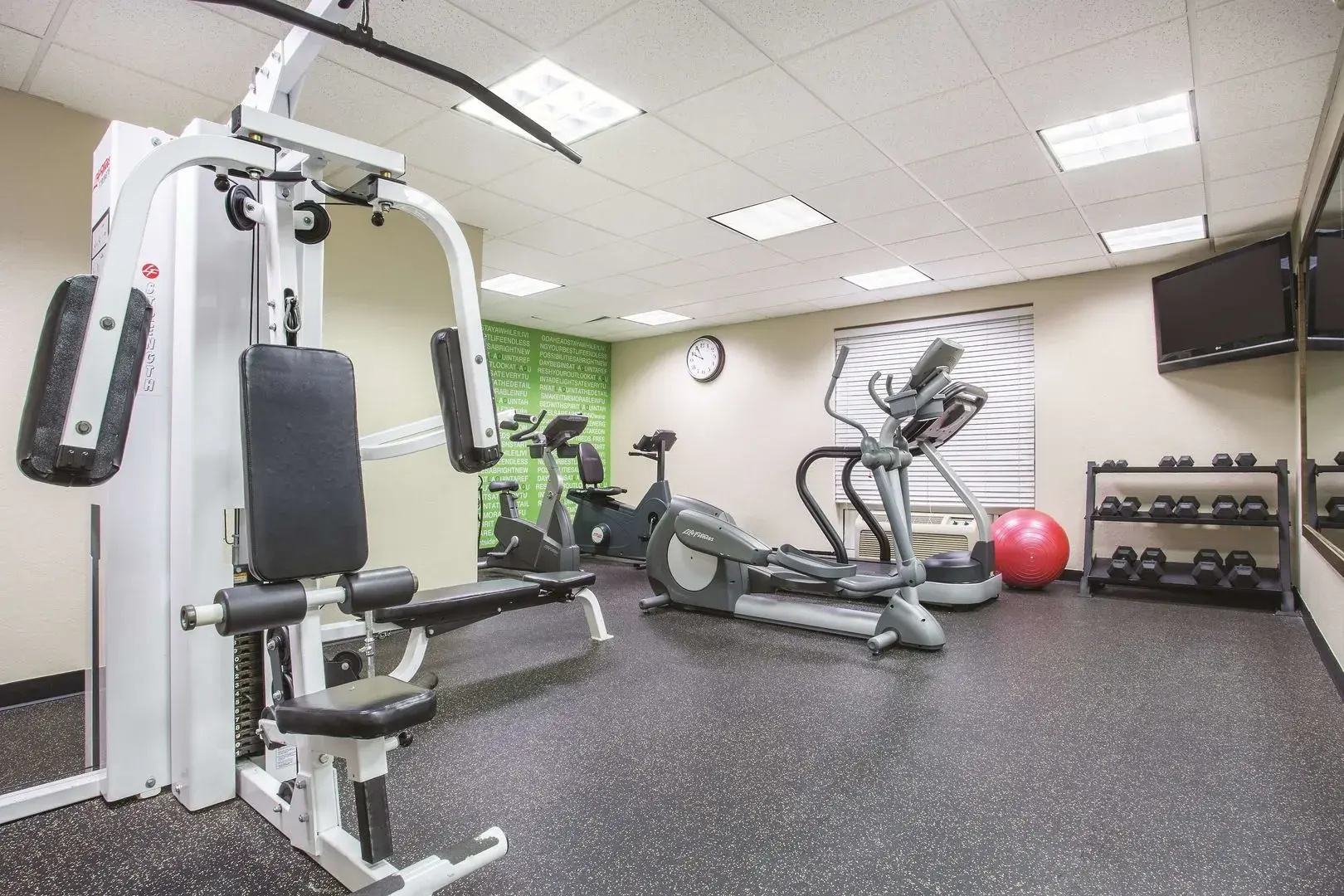 Foto - Comfort Inn & Suites Sarasota I75
